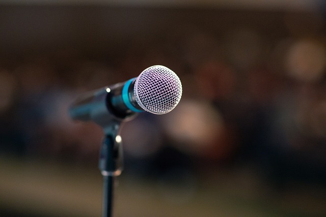 Public Speaking Advice: Take the Initiative to Introduce Yourself to Your Audience!